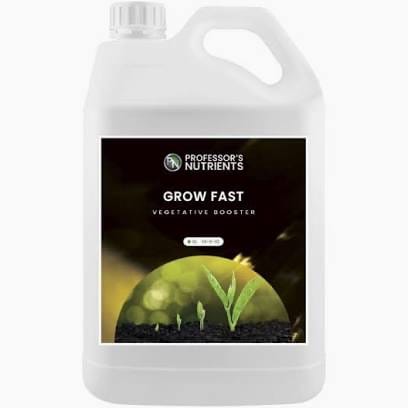 Professors Grow Fast – Vegetative Booster