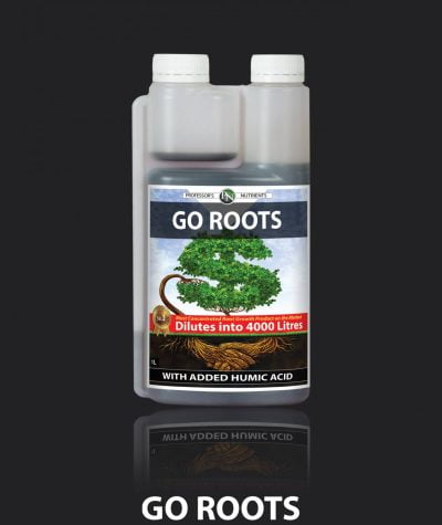 Professors GO ROOTS – Root Accelerator and Defender