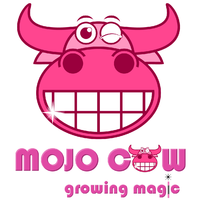 Mojo Cow