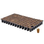 Eazy Plug Cloning + Seedling 104- propagation tray