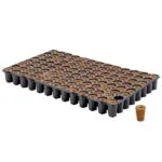 Eazy Plug Cloning + Seedling 104- propagation tray